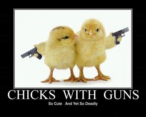Survival Smarts Chicks With Guns Baby Chickens Baby Chicks