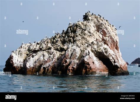 Paracas National Reserve Ballestas Islands Peru Stock Photo Alamy