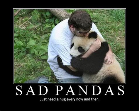 [image 64572] Sad Panda Know Your Meme
