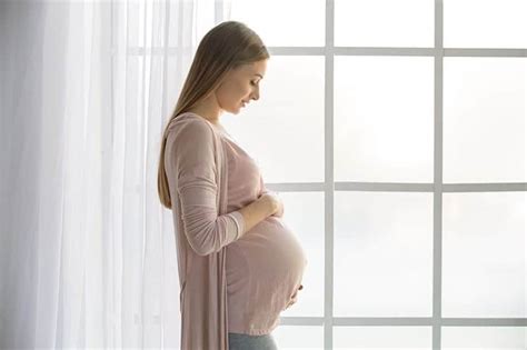 Curiosidades Sobre El Embarazo Que Te Sorprender N Madres Hoy 33672