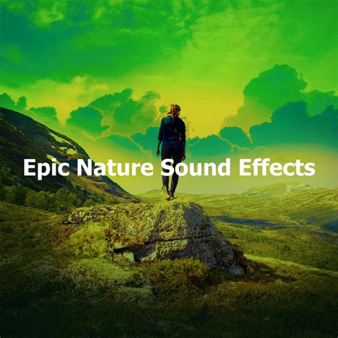Epic Nature Sound Effects Album By Epic Soundscapes Spotify