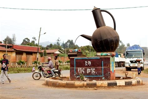 Grown and roasted in ethiopia. Seeking The True Source of Arabica Coffee In The Ethiopian ...