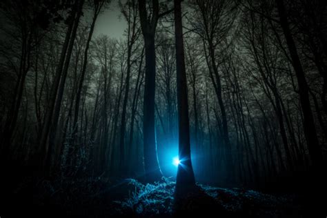 Dark Scary Night Forest Shot With Mysterious Light Stock Photo And More
