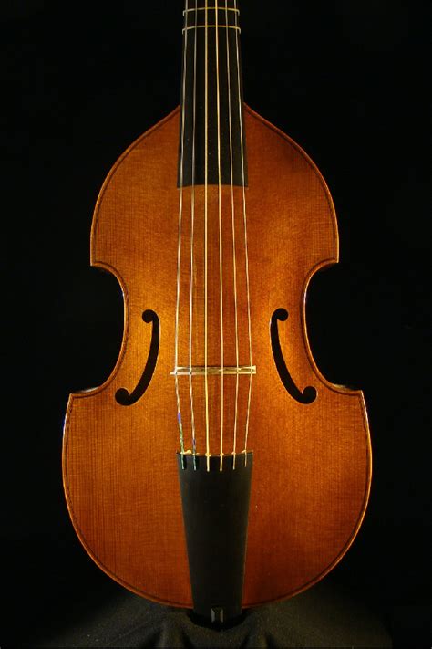 Viola Da Gamba Jaye 2018 Milos Seyda Luthier Violinmaker