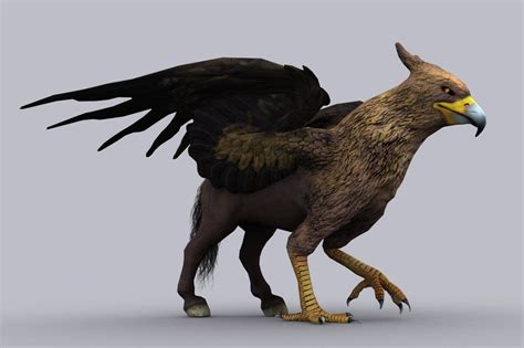 Hippogriff With Native File Types Of Dragons Mythical Creatures