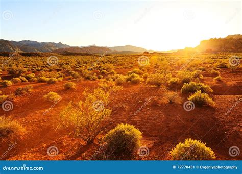 Desert Over Sunset Nevada Stock Image Image Of Geology 72778431