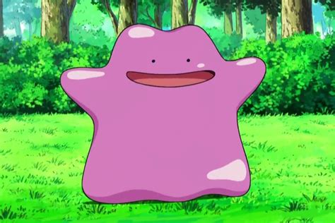 Pokémon Sword And Shield Where To Find A Ditto For All Your Breeding