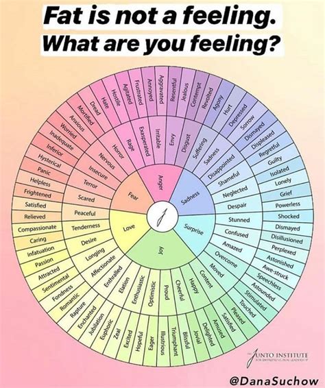 Emotions Emotions Wheel Feelings Wheel Writing