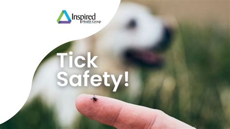 Prevent Check And Treat Tick Bites Physical Activity Blog Inspired