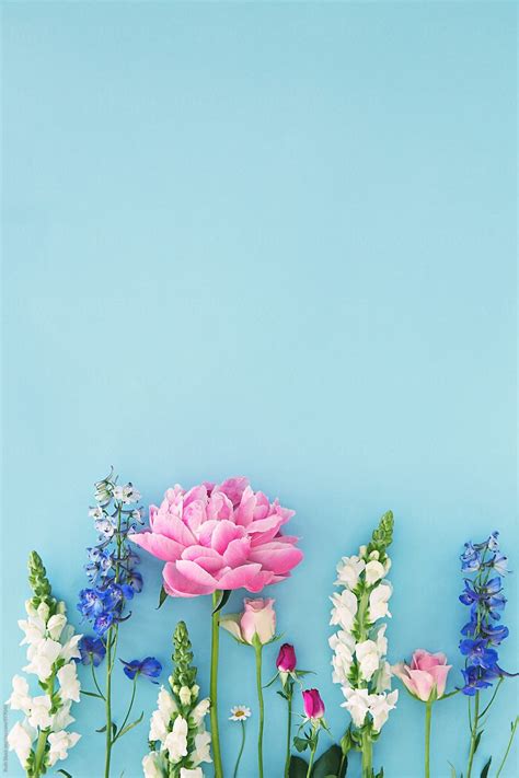 Check out this fantastic collection of garden wallpapers, with 63 garden background images for your desktop, phone or tablet. Country Garden Flowers Arranged On Blue Download this high ...