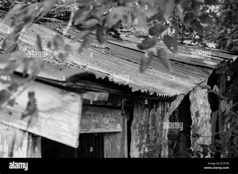 Old Barn Rusty Tin Roof Hi Res Stock Photography And Images Alamy