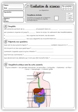 #respiration #nationapprenante #éducation #écoleàlamaisoncomment fonctionne la respiration ? La Trousse de Sobelle | Bloglovin' | Sciences cm1, La ...