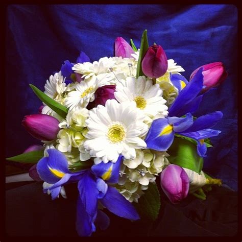 Brides Bouquet With White Gerber Daisies Pink Tulips And Blue Iris