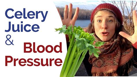 Eating the whole plant is better. Celery Juice & Blood Pressure - Good for High or Low Blood ...