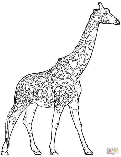 Get This Giraffe Coloring Pages Realistic Animals 53182