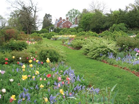 U.Va.'s Morven Farm is Open Saturday for Garden Week | UVA Today