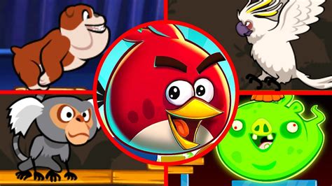 Angry Birds Maker Rio 5 All Bosses Boss Fight YouTube