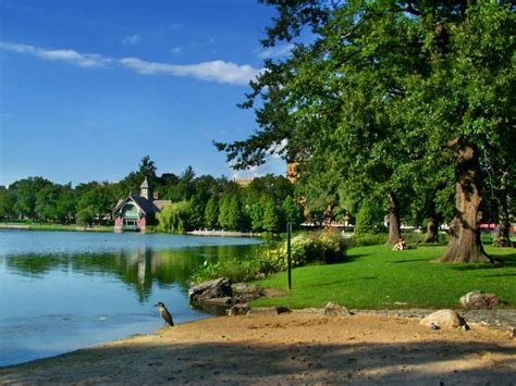 Miami In Focus Photo Gallery Featuring The Habitats Of Central Park