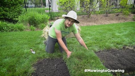 Mowing To Growing Turning Your Lawn Into A Garden Youtube