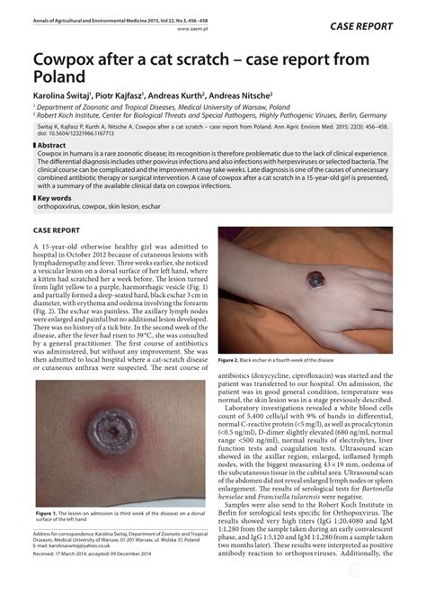 See more ideas about cute cats, cats, crazy cats. (PDF) Cowpox after a cat scratch - case report from Poland