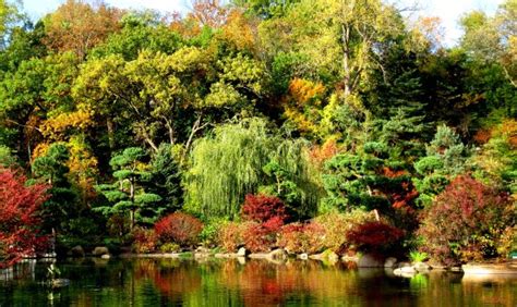 Autumn At The Garden Of Reflection Pond Picture Of Anderson Japanese Gardens Rockford