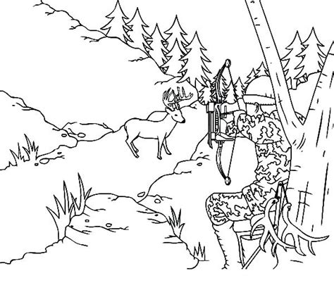 We found for you 15 pictures from the collection of deer coloring hunting! Bow Hunting Coloring Pages at GetDrawings | Free download