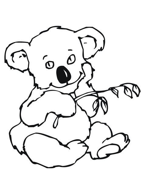 koala bears coloring pages coloring home