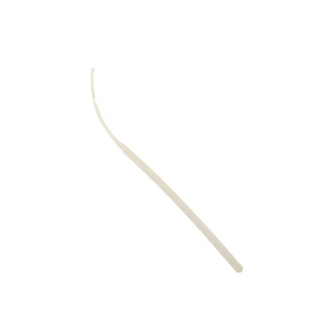 Was die leute da erzählen ist auch ganz groß: Museum of Contraception and Abortion