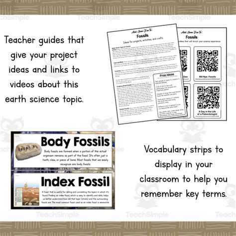 All About Fossils Earth Science Unit By Teach Simple