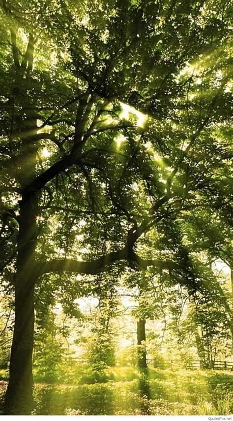 HD Nature Phone Wallpapers - Top Free HD Nature Phone ...