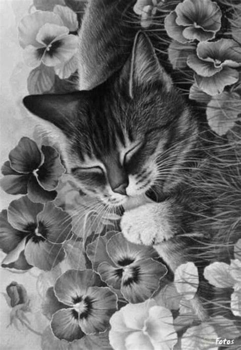 Cats coloring pages are very famous among kids and preschoolers. cat kitten Coloring pages colouring adult detailed advanced printable Kleuren voor volwassenen ...