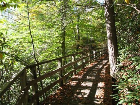 Andy mountain cabins, harpers ferry: Pin on Mountain Places