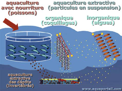Aquaculture Intégrée Définition Illustrée Et Explications