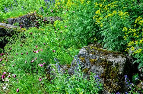 wdf - wupper digitale fotografie - Botanischer Garten RUB ...