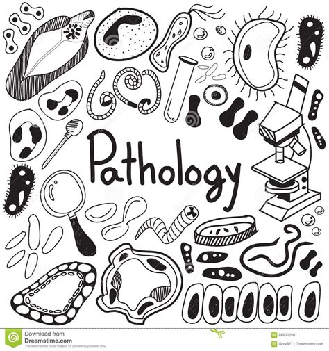 Patologia Pathology Doodles Drawing Journal