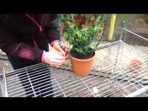 Here is my guide to doing basic topiary of straight lines and balls. Making up a topiary frame - YouTube
