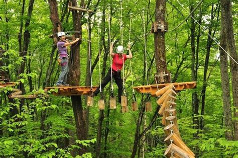 Treetop Trekking Adventure | Team Building Activities | Toronto ...