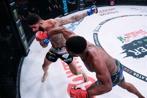 His bellator title joins the wec and ufc lightweight titles previously won by his older brother earlier in his career. Mads Burnell knew it would be a short night for Saul Rogers on the mat