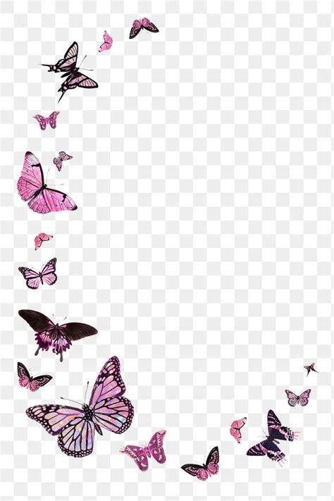Pink Butterfly Border Design Element Premium Image By