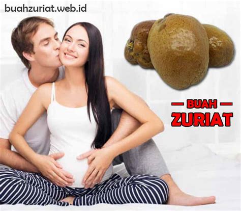 85.000 untuk nego harga baru kontak langsung. Harga Buah Zuriat Di Indonesia: Satuan, Kembar, Bubuk, Per Kg