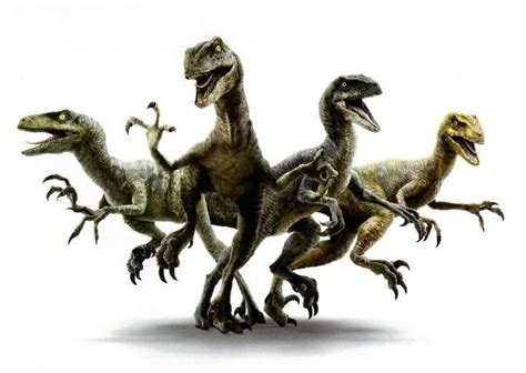 The 4 Raptors Jurassic World Raptors New Jurassic World Jurassic World Pictures