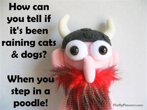 480 x 360 jpeg 16 кб. 38 best Jokes for Kids images on Pinterest | Baby humor ...