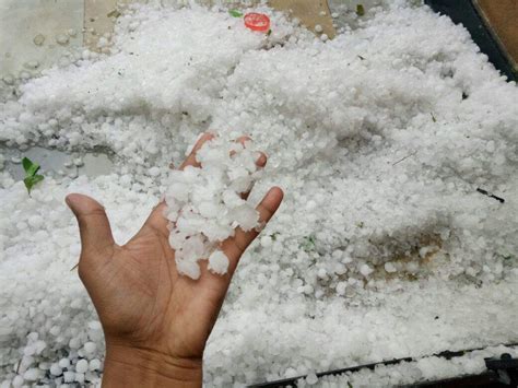 Maharashtra Hailstorm Heavy Rain Hailstorm Kill 2 In Maharashtra