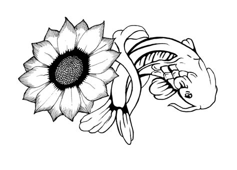 Barberton Daisy Clip Art Library