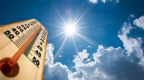 10 Tips For Coping With A Heat Wave Mental Floss