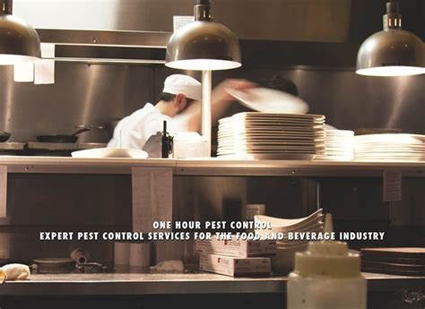 Pest control new jersey nj pest extermination services licensed animal pest exterminators bed bugs mouse rats rodents termites more. Contact Us - One Hour Pest Control in NJ