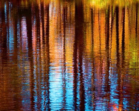 Items Similar To Colorful Tree Reflection In Water Fine Art Photography