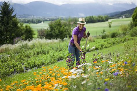 Vervollständigt ein kräutergarten die küche, gehört schale monotonie in warmen und kalten speisen der. Kräutergarten Langkampfen» Kufsteinerland in Tirol ...