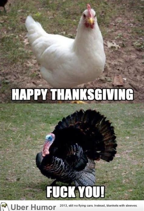 daily afternoon chaos 40 pictures funny thanksgiving memes funny
