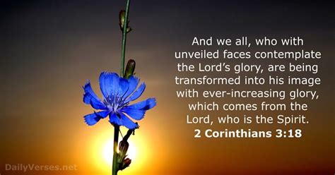12 Bible Verses About Transformation